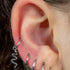 Titanium Hinged Clicker Ring with Titanium Snake Charm
