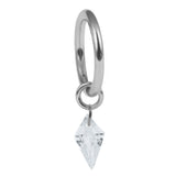 Titanium Delphi Jewelled Charm