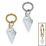 Titanium Delphi Jewelled Charm
