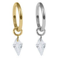 Titanium Hinged Clicker Ring with Titanium Delphi Jewelled Charm