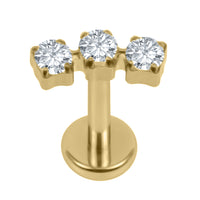 Titanium Internally Threaded Eternal Trio Top