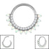 Titanium Lunar Opal Hinged Clicker Ring