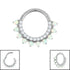 Titanium Lunar Opal Hinged Clicker Ring