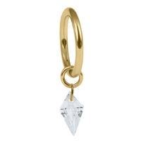 Titanium Hinged Clicker Ring with Titanium Delphi Jewelled Charm