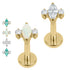 Gold Titanium Internally Threaded Labrets 1.2mm - Marquise Zofia