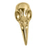 Titanium Internal Corvid Bird Skull Top