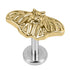 Titanium Internally Threaded Labrets 1.2mm - Midnight Moth
