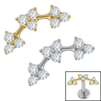 Titanium Internal Blossom Flower Curve