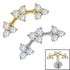 Titanium Internal Blossom Flower Curve