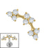 Titanium Internal Blossom Flower Curve