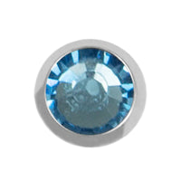 Titanium Internal Jewelled Disk Top