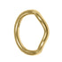 Titanium Katie Hinged Clicker Ring