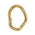 Titanium Katie Hinged Clicker Ring