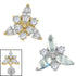 Titanium Internal Marquise Eden Top