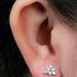 Titanium Internal Marquise Eden Top