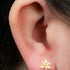 Titanium Internal Marquise Eden Top