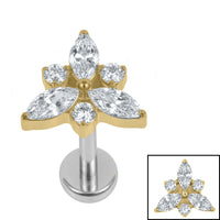 Titanium Internally Threaded Labrets 1.2mm - Titanium Marquise Eden