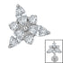 Titanium Internal Marquise Eden Top