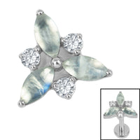 Titanium Internal Marquise Eden Top
