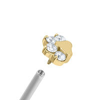 Titanium Internal Claw Set Jewelled Paw Print Top
