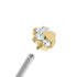 Titanium Internal Claw Set Jewelled Paw Print Top