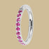 Titanium 1.2mm Kai Pave Set Jewelled Edge Hinged Clicker Ring