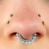 Titanium Verity Princess Jewelled Hinged Clicker Ring