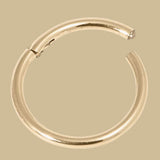 Zircon Steel Hinged Clicker Ring (Gold colour)