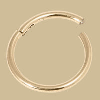 Zircon Steel Hinged Clicker Ring (Gold colour)