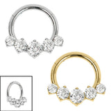 Titanium 5 Claw Set Jewel Hinged Clicker Ring