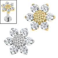 Titanium Internal Jewelled Golden Daisy Teardrop Top