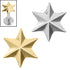 Titanium Internal Radiant Star