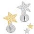Titanium Internally Threaded Labrets 1.2mm - Titanium Hammered Star