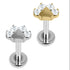 Titanium Internal Claw Set Jewelled Paw Print Top