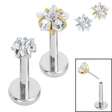 Titanium Threadless Labrets - Titanium (Bend-fit) Claw Set CZ Jewelled Star