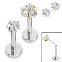 Titanium Threadless Labrets - Titanium (Bend-fit) Claw Set CZ Jewelled Star