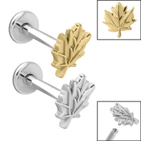 Titanium Internally Threaded Labrets 1.2mm - Steel Maple Leaf